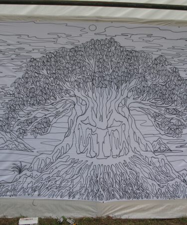 LiveDrawing