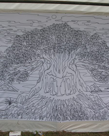 LiveDrawing